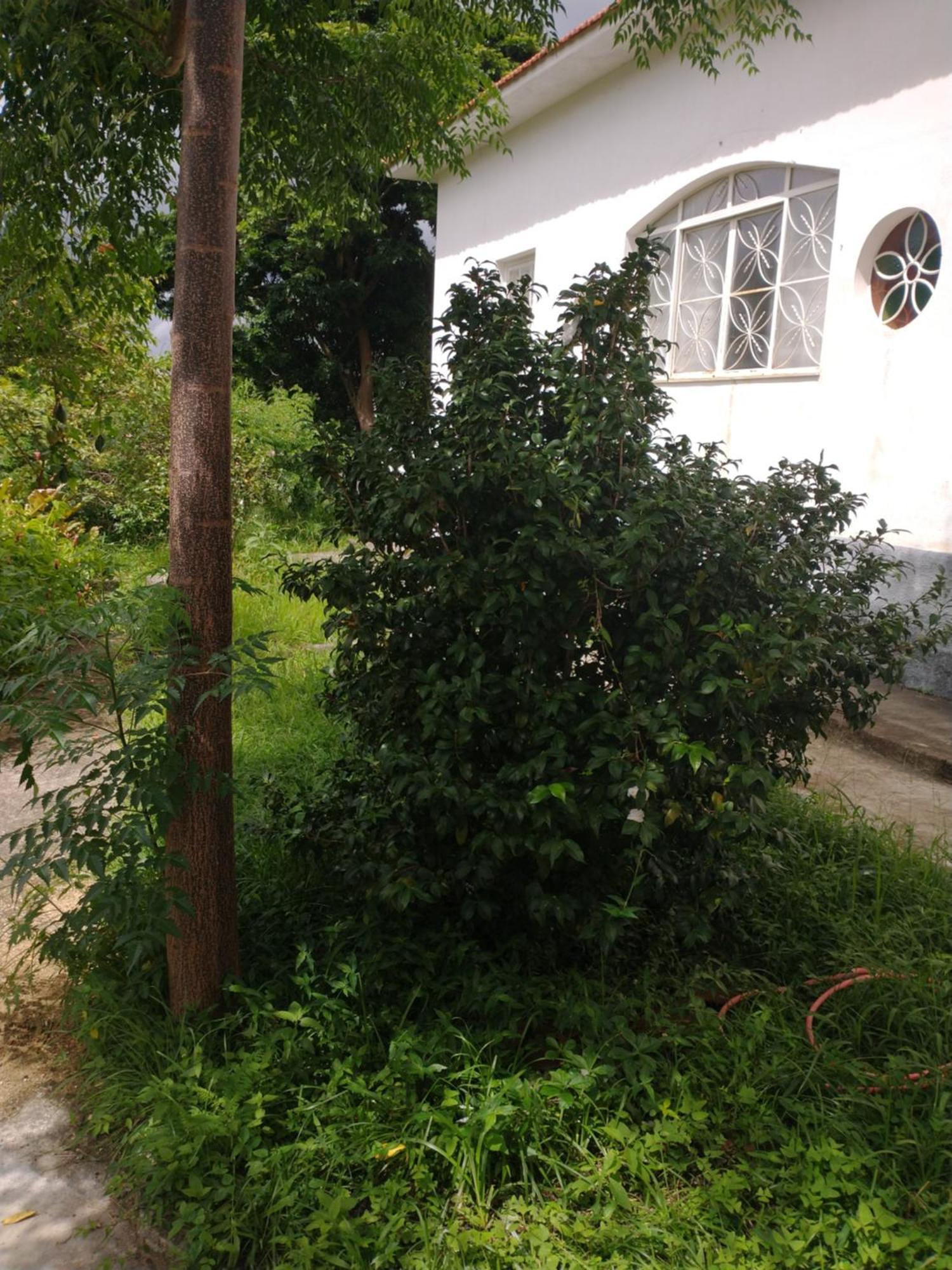 Casa Delicia Em Passa Quatro Ate 6 Pessoas Villa Exterior photo